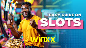 Sports Statistics winxx